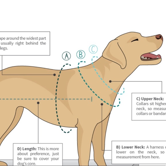 No pull Harness with faux fur front - Picture 13 of 15